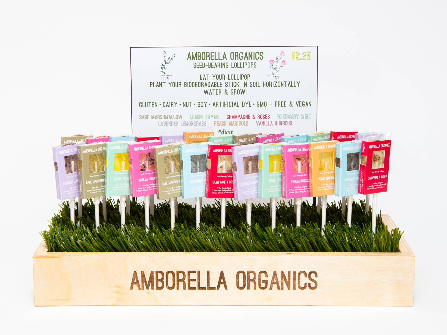 Blooming Lollipop Bundle (Eat, Plant & Grow an Herb/Flower)
