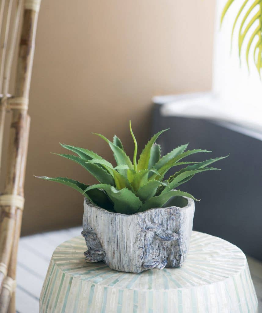 7x7x4" Faux Wood Planter W/Mushroom 6EA/CTN