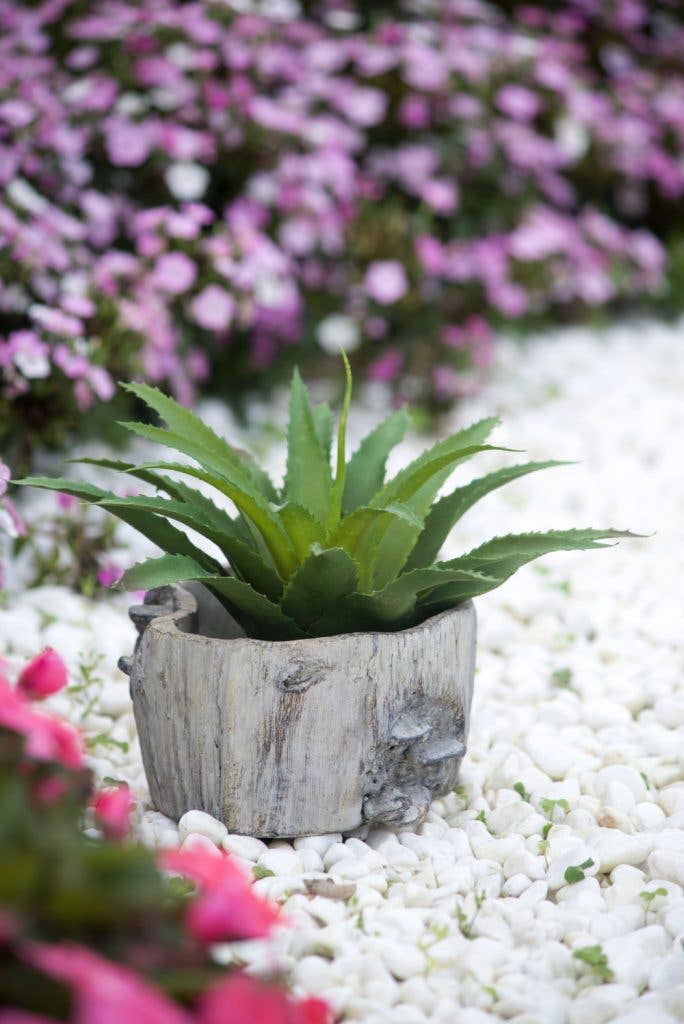 7x7x4" Faux Wood Planter W/Mushroom 6EA/CTN