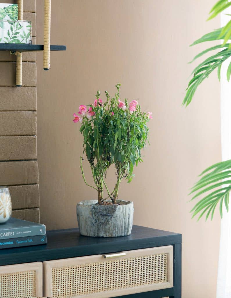7x7x4" Faux Wood Planter W/Mushroom 6EA/CTN