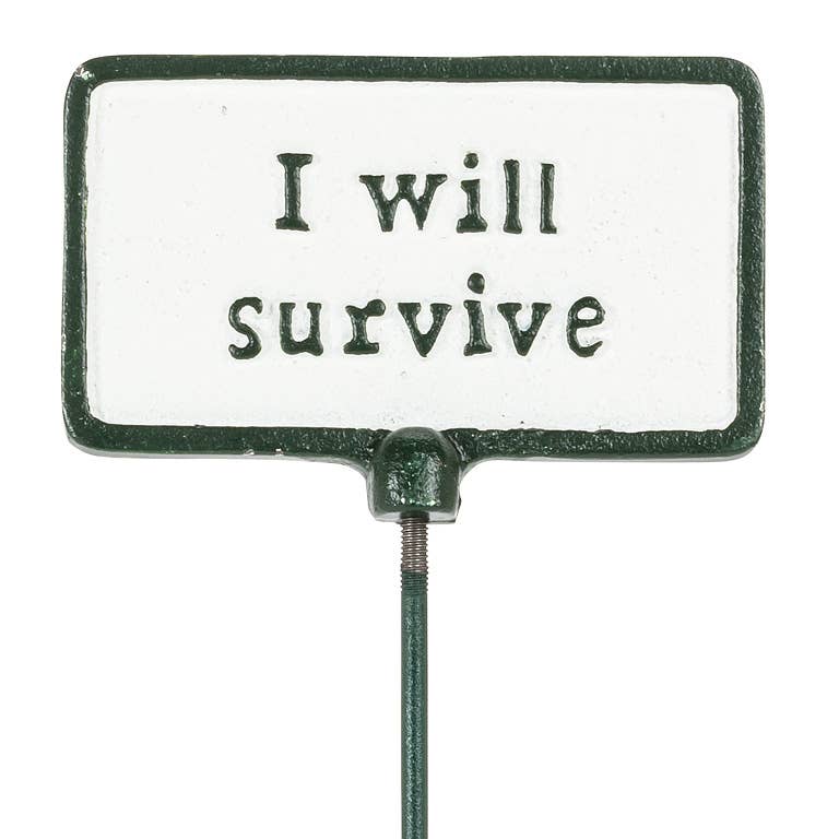 Plant Signs-Antique White-5 Assorted-2x3.5"L