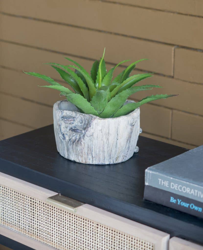 7x7x4" Faux Wood Planter W/Mushroom 6EA/CTN
