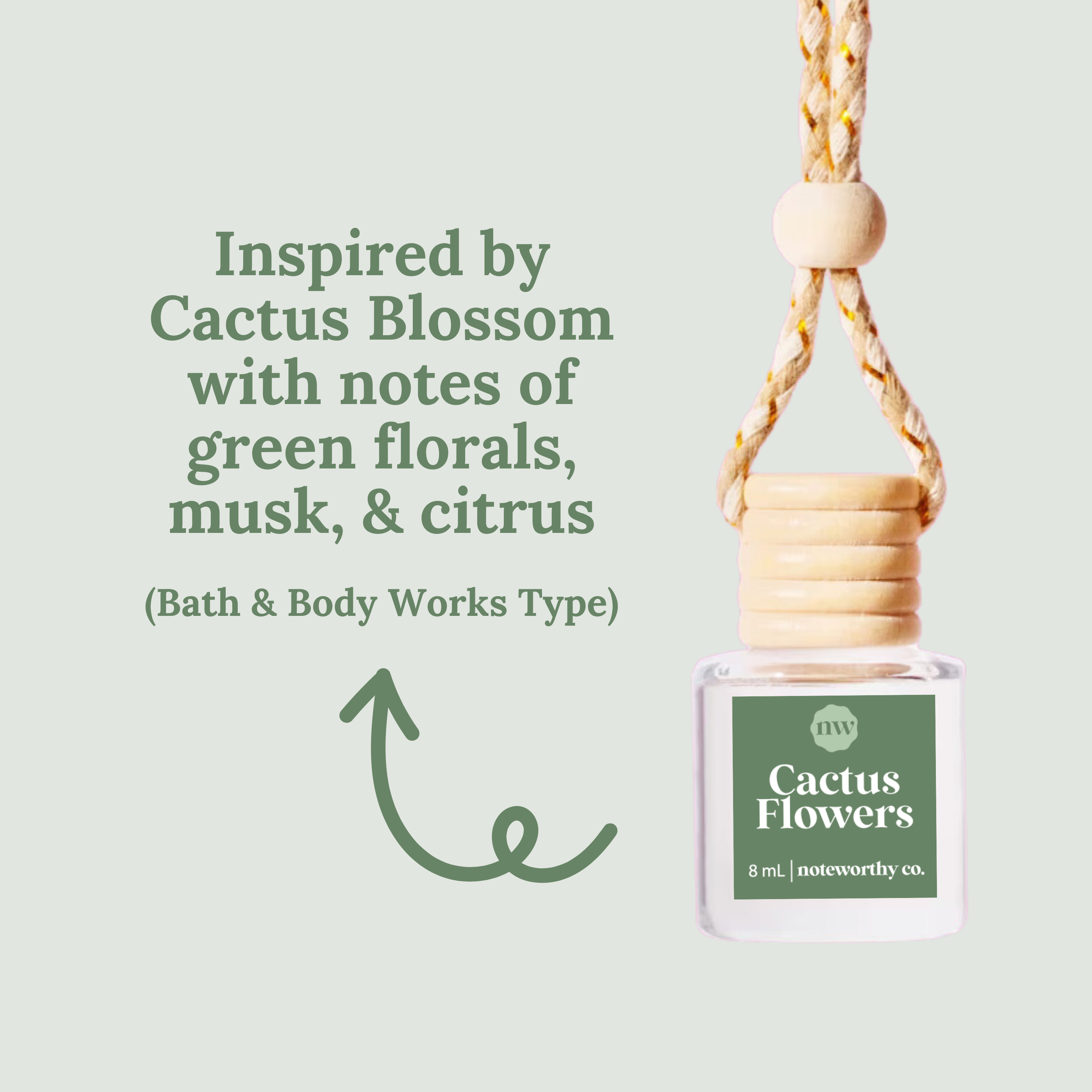 Car Diffusers | MOST POPULAR