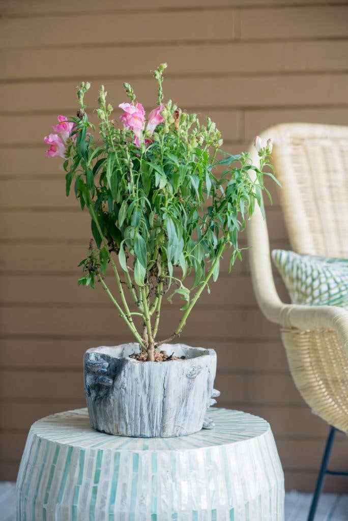 7x7x4" Faux Wood Planter W/Mushroom 6EA/CTN