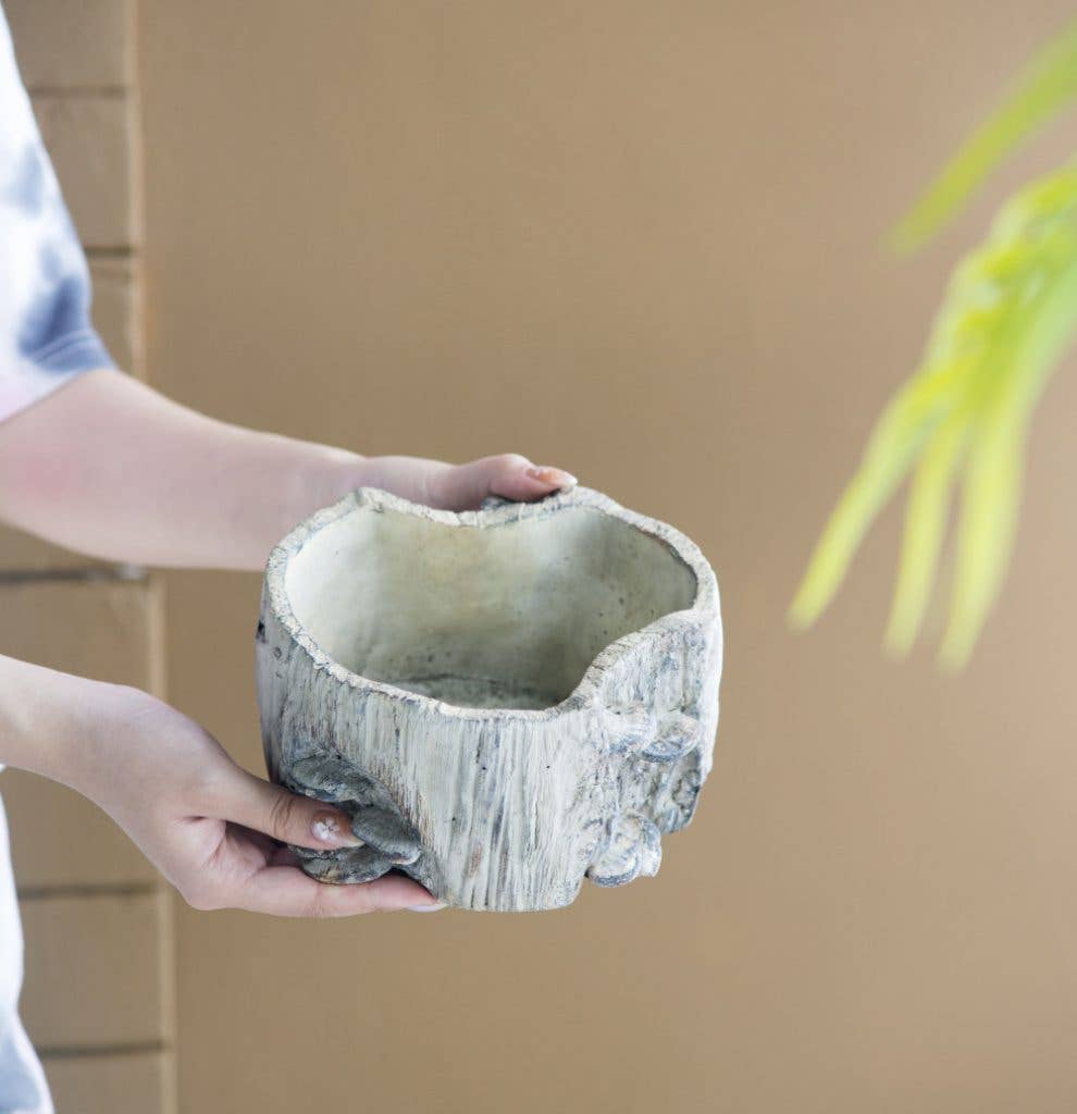 7x7x4" Faux Wood Planter W/Mushroom 6EA/CTN