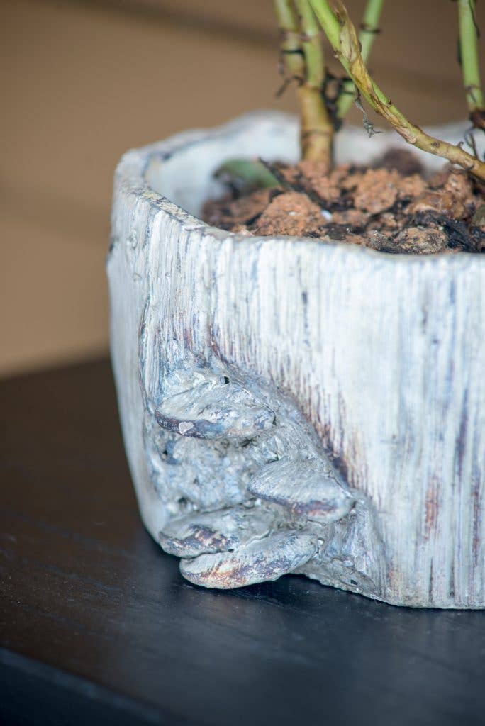 7x7x4" Faux Wood Planter W/Mushroom 6EA/CTN