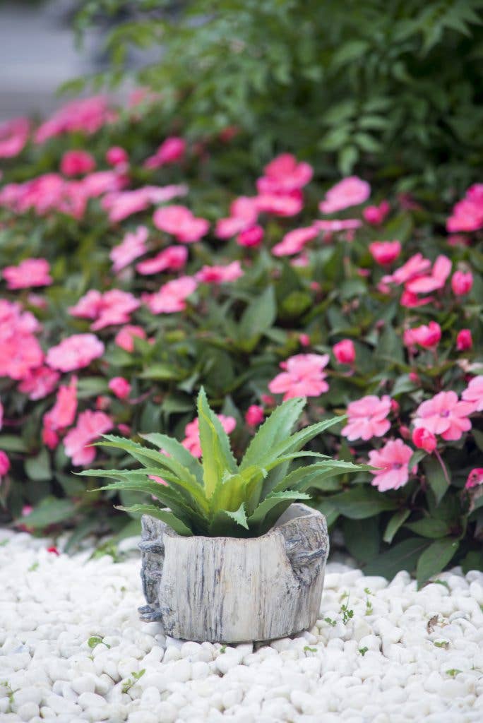 7x7x4" Faux Wood Planter W/Mushroom 6EA/CTN