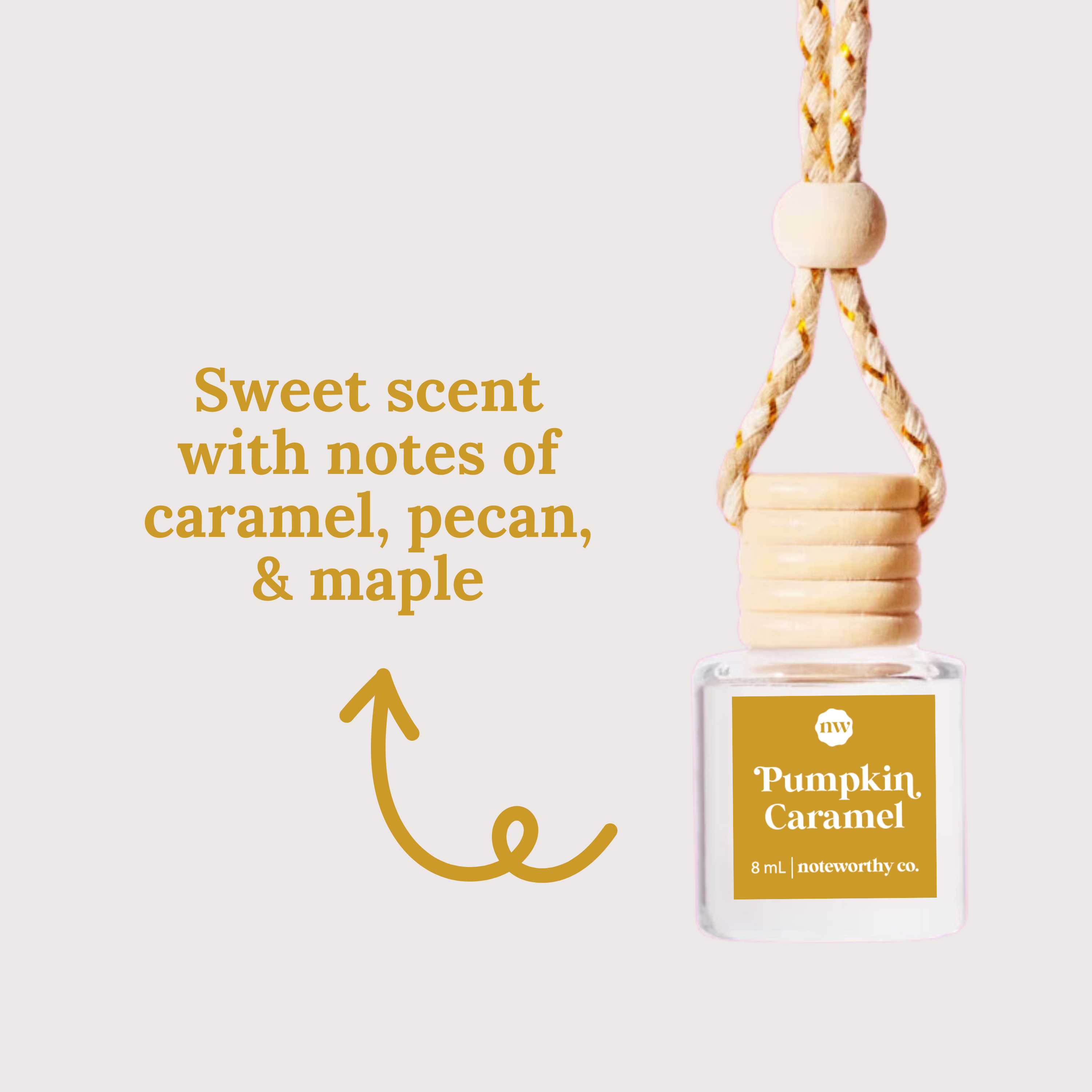 Car Diffusers | NEW Fall + Halloween Scents: Individual Mylar Bag / Vanilla Pumpkin