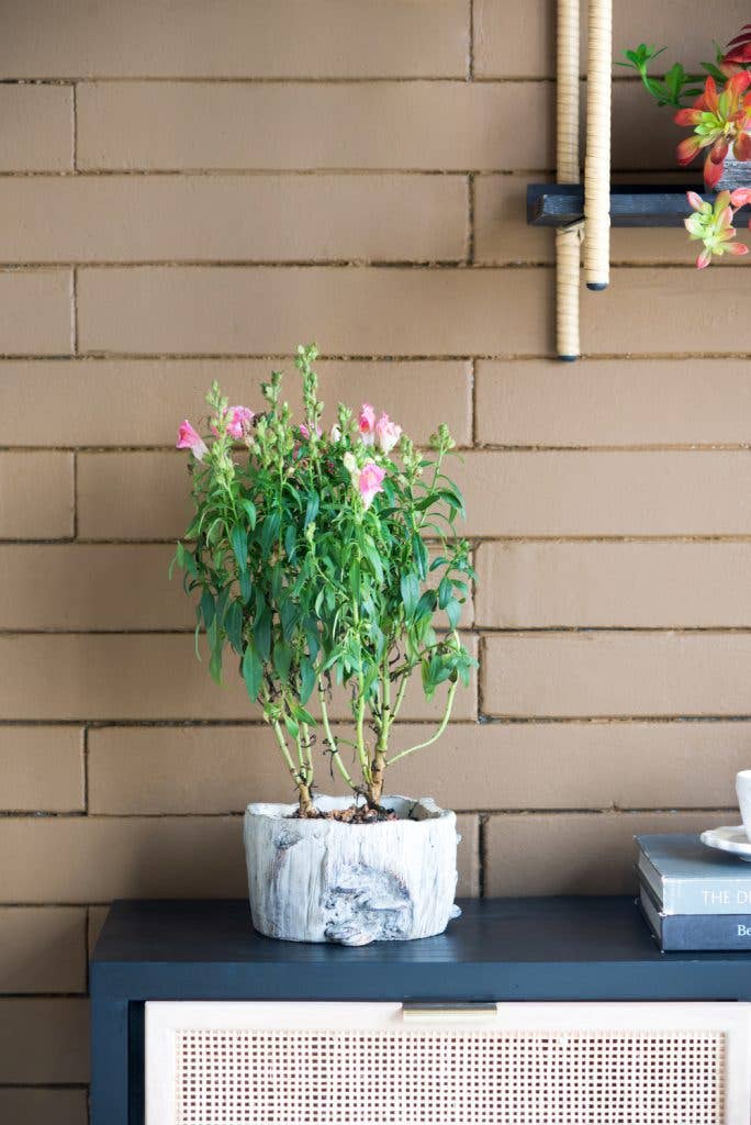 7x7x4" Faux Wood Planter W/Mushroom 6EA/CTN
