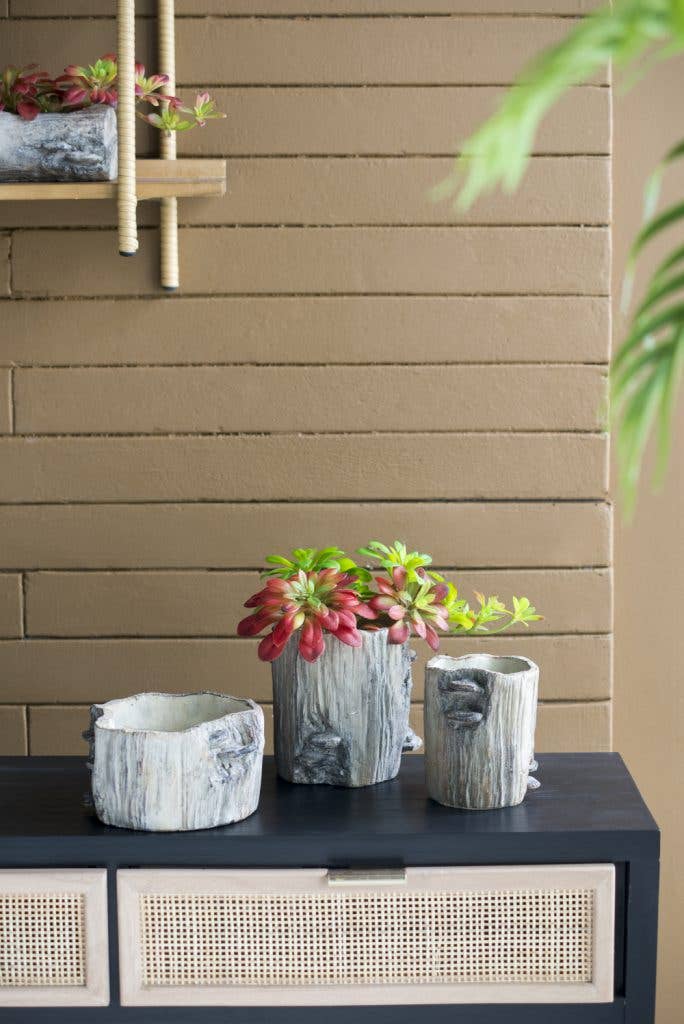 7x7x4" Faux Wood Planter W/Mushroom 6EA/CTN