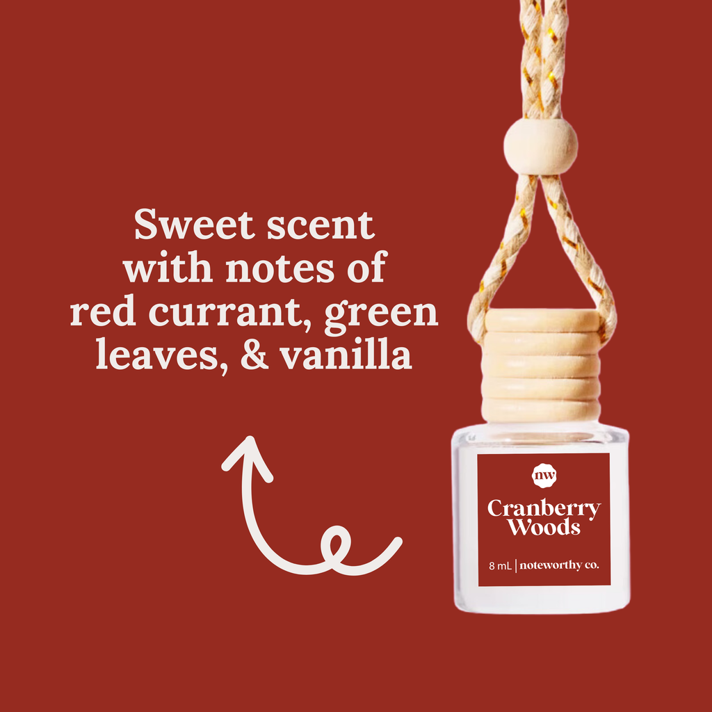 Car Diffusers | NEW Holiday Scents