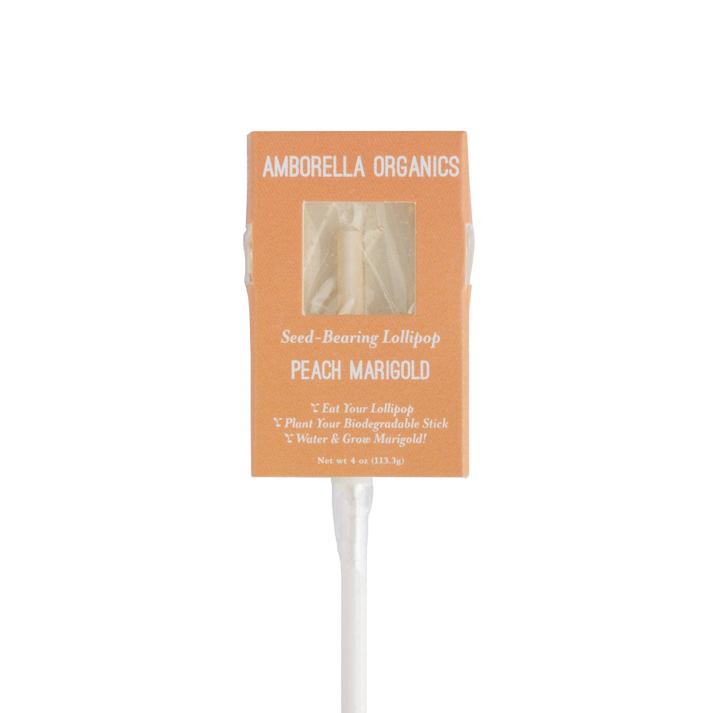 Blooming Lollipop Bundle (Eat, Plant & Grow an Herb/Flower)