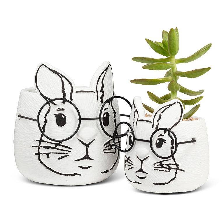 Small Bunny Planter with Glasses-3.5"H