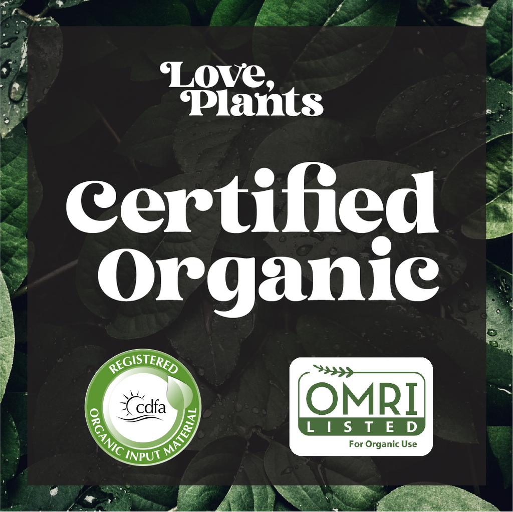 Black Magic Biochar
