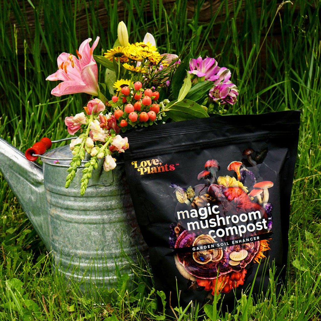 Magic Mushroom Compost
