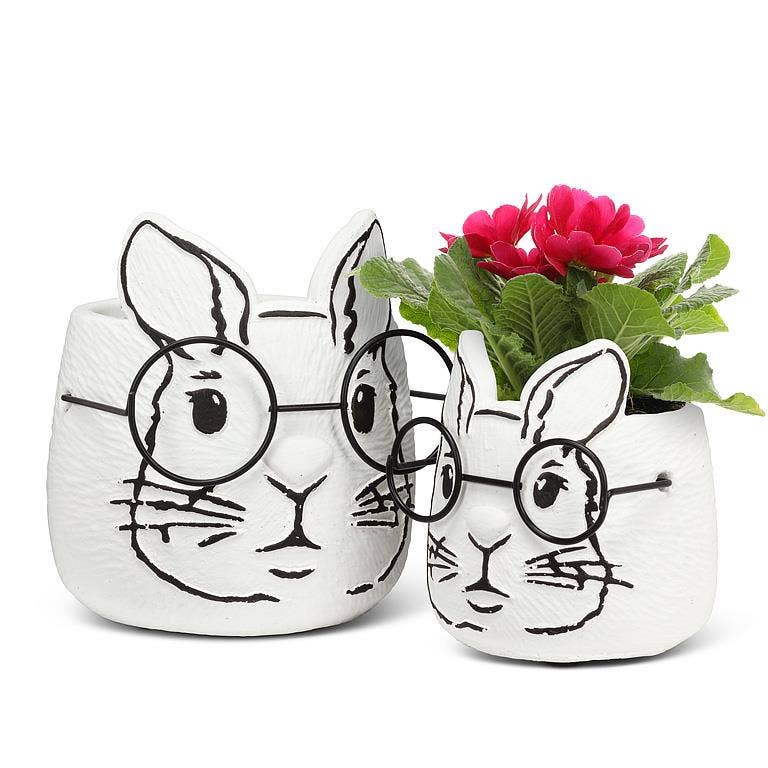 Small Bunny Planter with Glasses-3.5"H