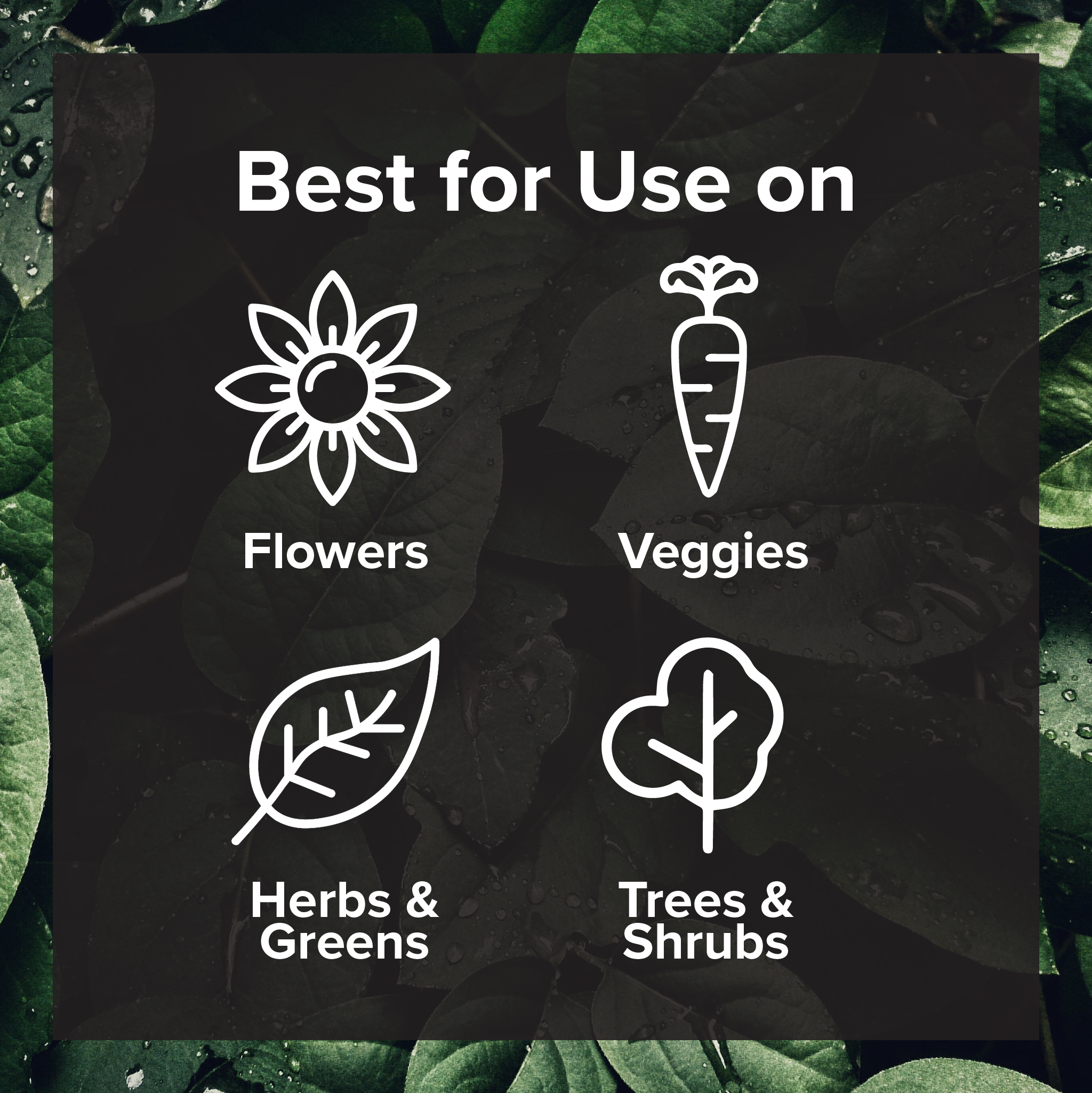 Black Magic Biochar