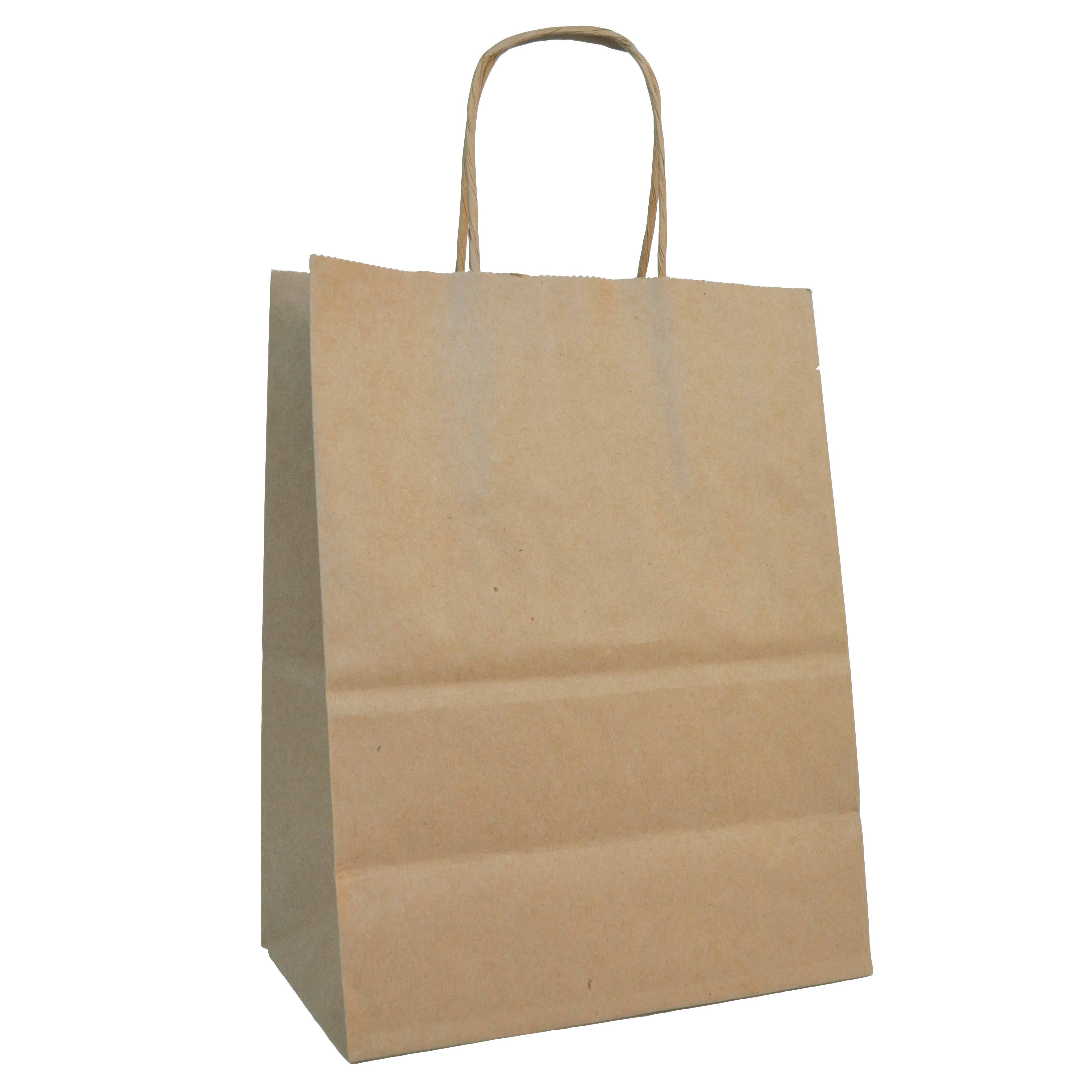 Paper Shopping Bags - 10 x 5 x 13.5" - 250 Bags